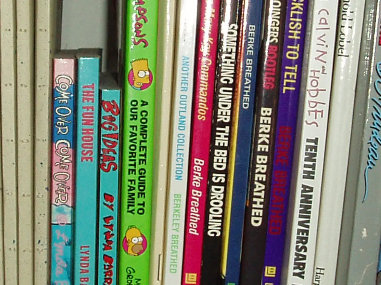 In this image there are books arranged in an order.