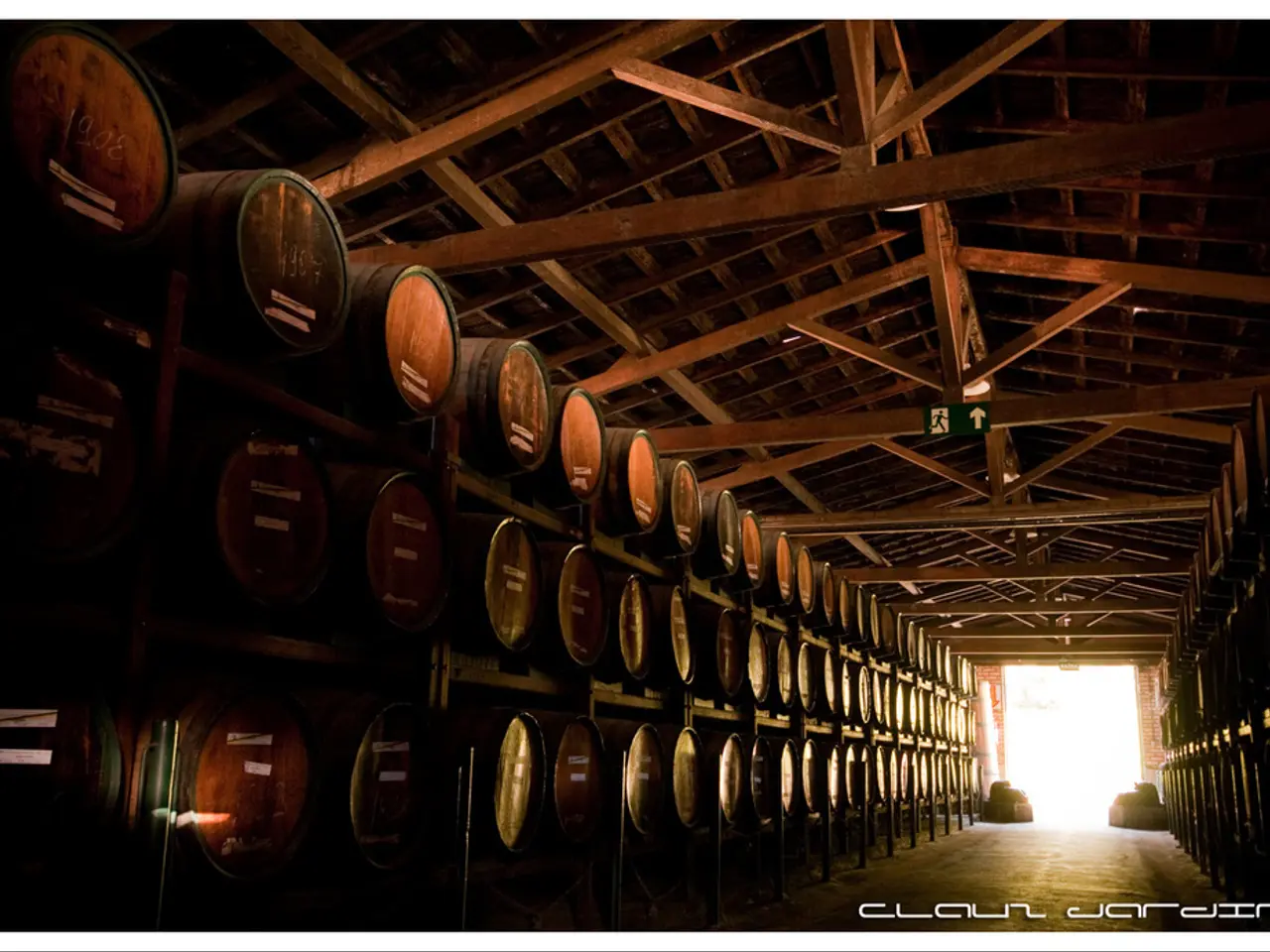 In this image we can see barrels placed in the racks. On the right there is a door. At the top...