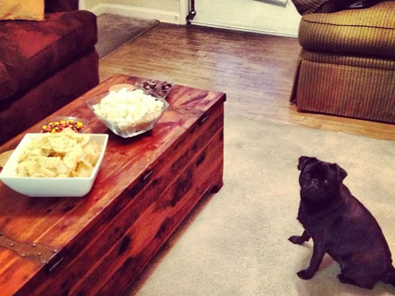 In this image i can see a dog sitting on floor, there are few things to eat on the table, there is...