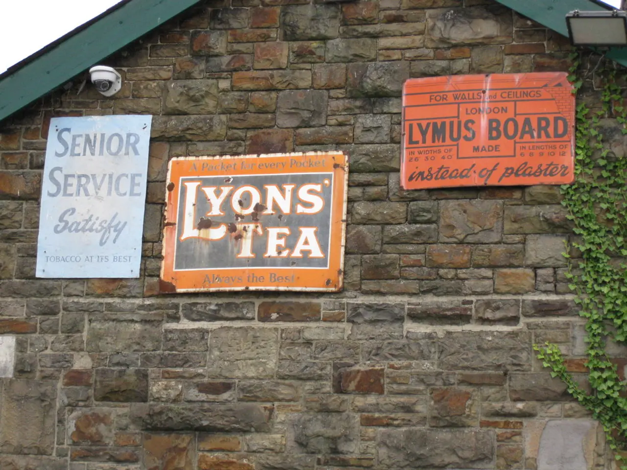 In the foreground of the picture there is a brick wall, on the wall there are boards, creeper and...