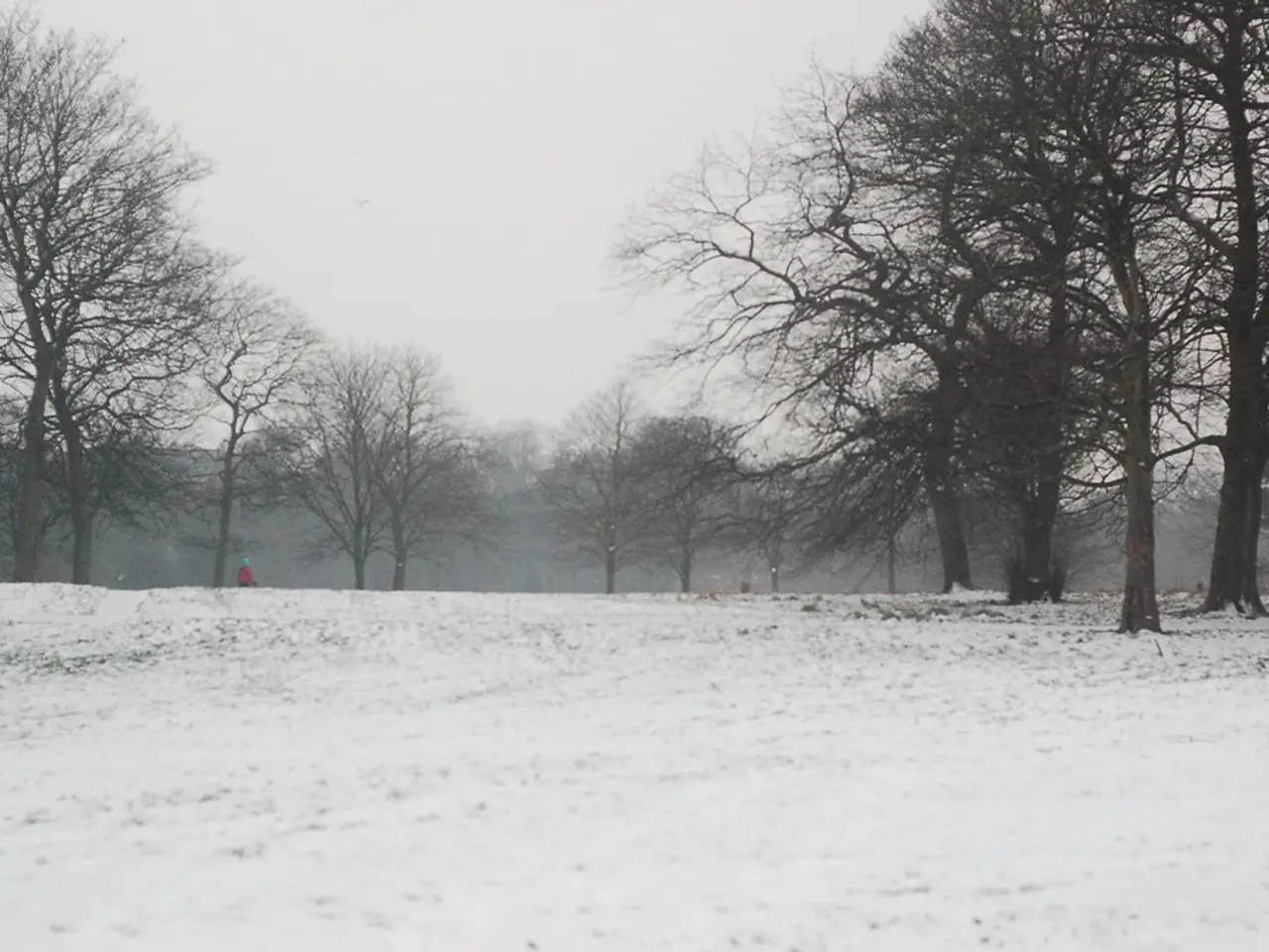 In this image we can see a man standing on the ice. On the backside we can see some trees and the...