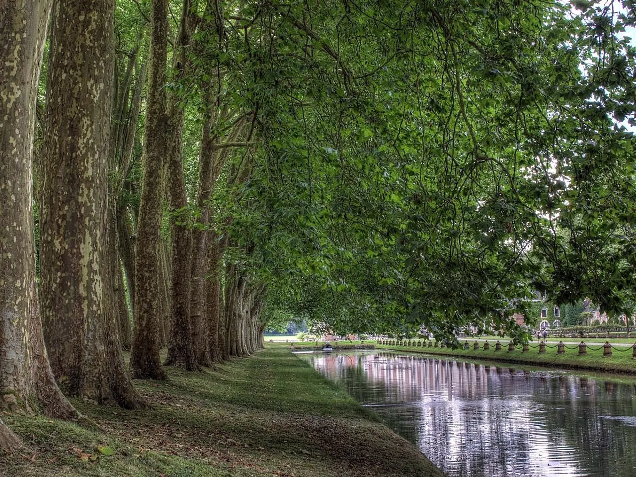 The image shows a river running through a lush green park, with trees lining the banks. The ground...