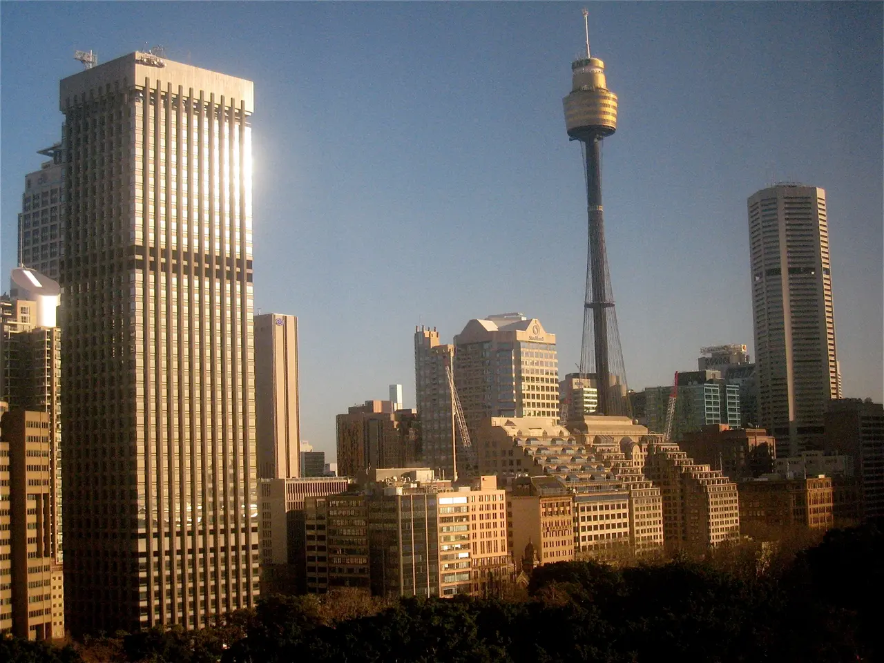 The image shows a view of a city skyline from the top of a hill, with many buildings and trees in...
