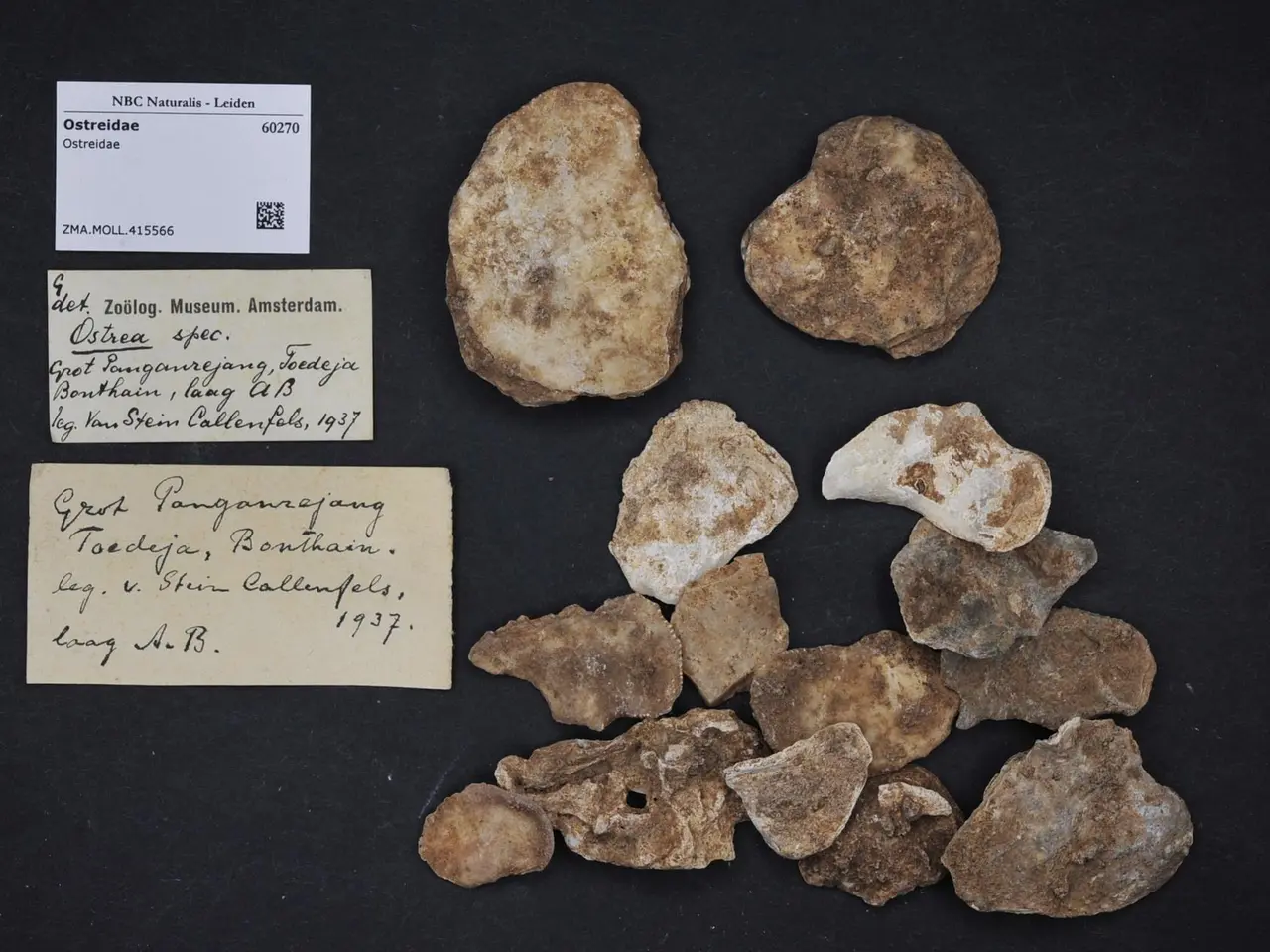 The image shows a pile of rocks sitting on top of a black surface, with two papers containing text...