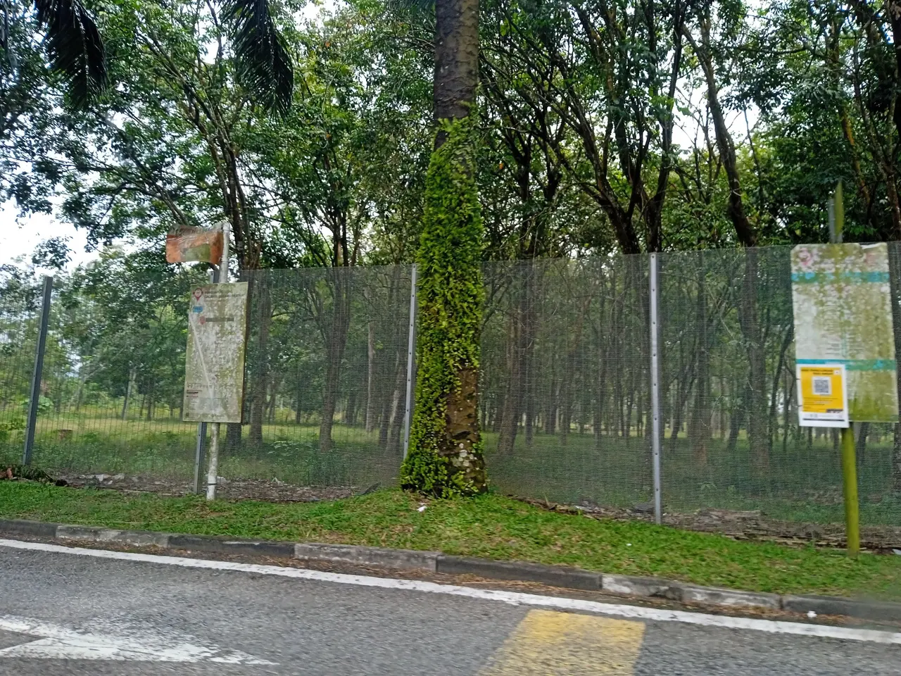 The image shows a road with a fence on the side of it, and in the background there are trees and a...