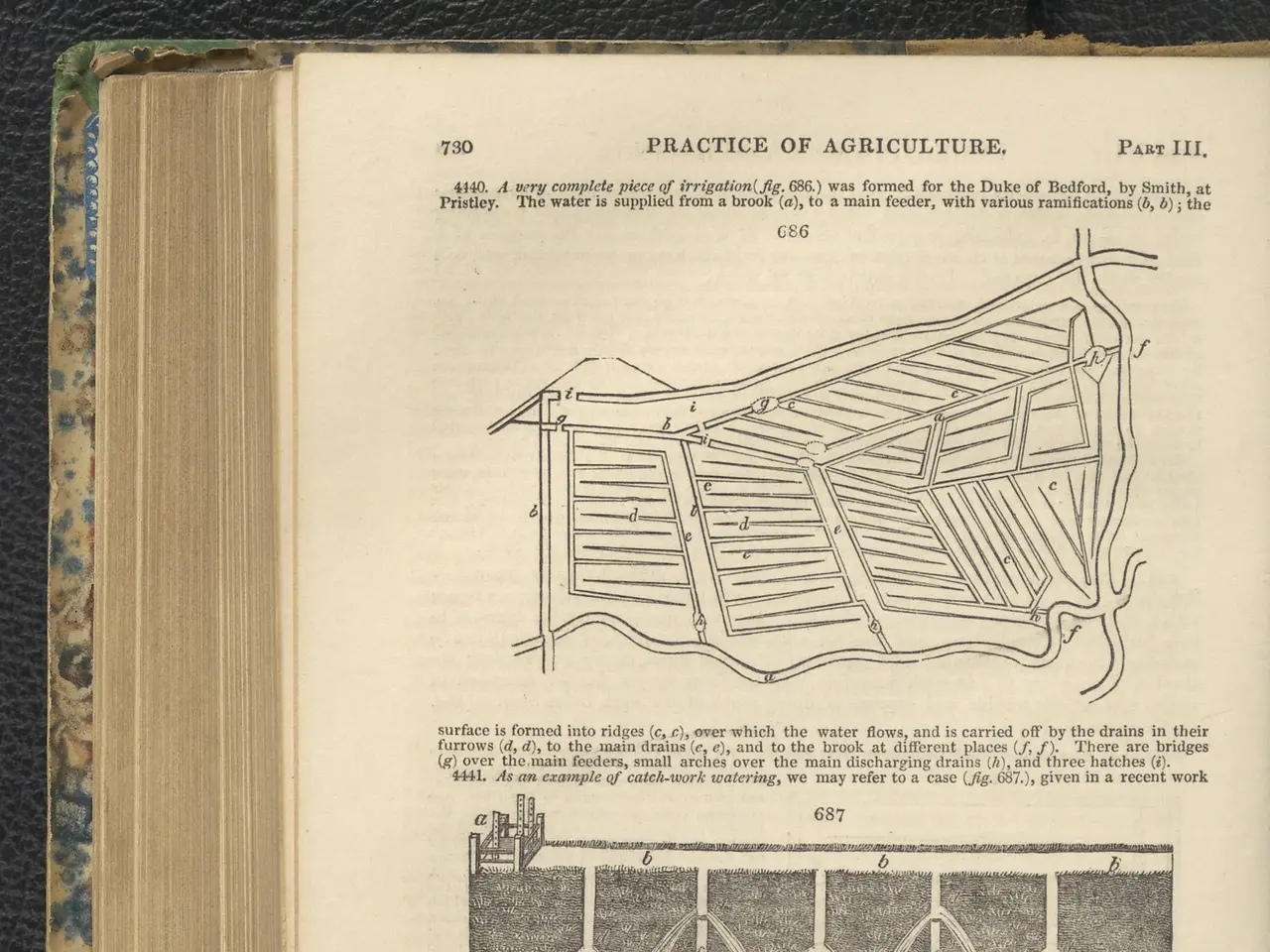 The image shows an open book with a drawing on it placed on a black surface. The book contains text...