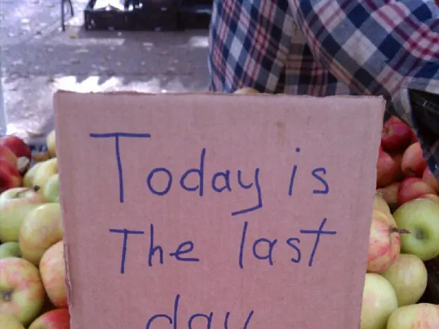 High Yield Stock Dividend: Final Distribution Announced by BSE SmallCap Firm - Review Payment Date...