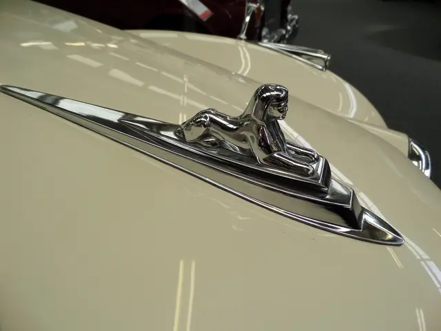 Current statistics and data on Jean Pierre Kraemer as of the year 2025