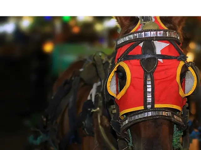 Does the cost of housing differ substantially between newly built and pre-owned dwellings?