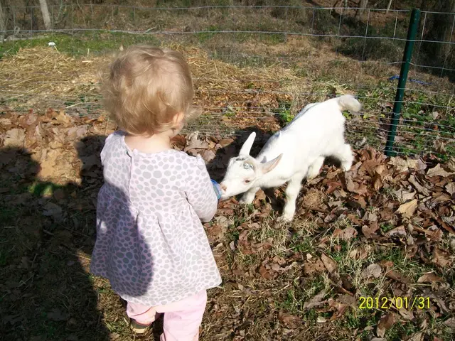 Reliance Industries announces dividend for 2025, marking the first payout following a bonus issue....