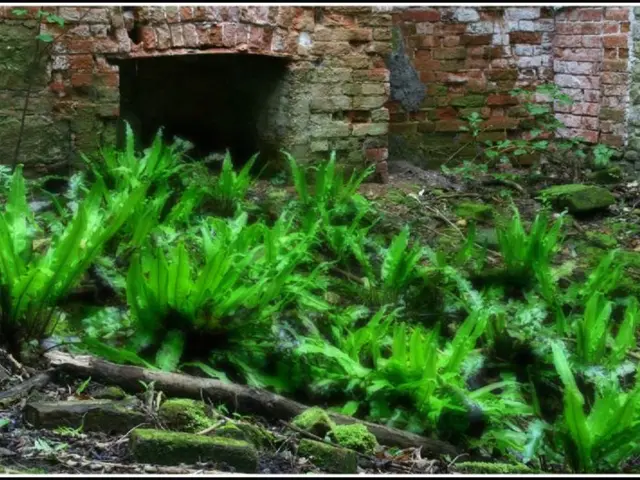 Examination of M. Fouzul Kabir Khan's newest publication, 'Bangladesh's Political Economy: An...