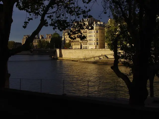 In this image I can see a fence, water, trees, buildings, light poles, vehicles on the road and the...