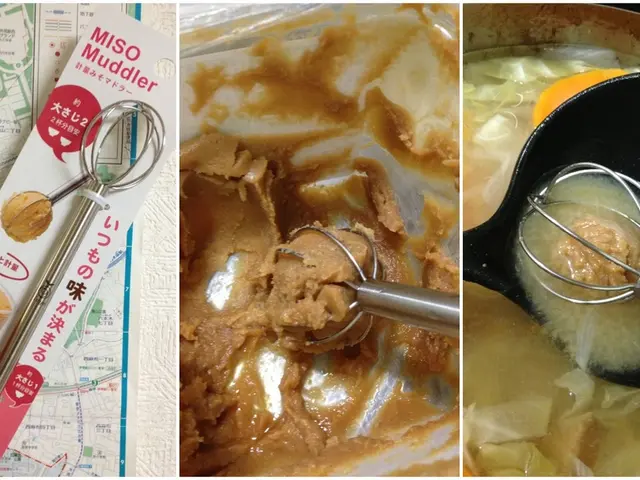 In the picture I can see the collage images. On the left side of the picture I can see the hand of...