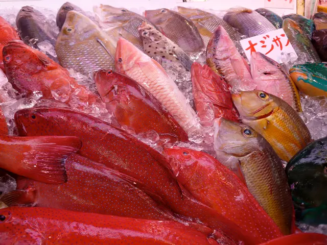 In this picture we can see fishes and ice pieces. On the right side of the image, there is a paper....