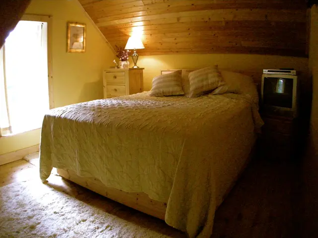 in the picture there is a bedroom