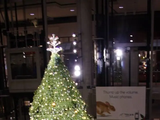 In this picture we can see a Christmas tree with some objects on it, glass fence, lights, pillars,...