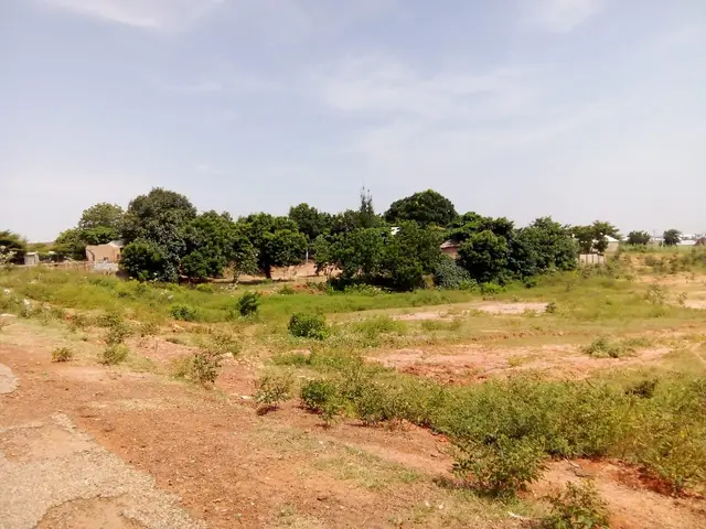 The image shows a residential land for sale in Kira Wakiso with plants, grass, trees, and houses in...