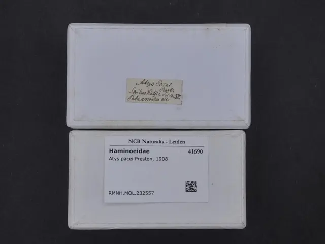 The image shows a pair of white business cards sitting on top of each other on a black surface. The...