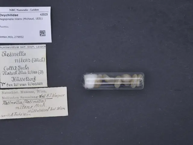 The image shows a black surface with a small piece of paper next to a box of pills, which appears...