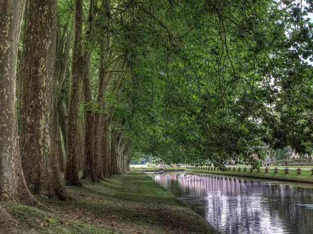 The image shows a river running through a lush green park, with trees lining the banks. The ground...