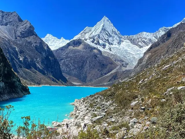 The image shows a stunning view of a lake surrounded by lush green trees and plants, with majestic...