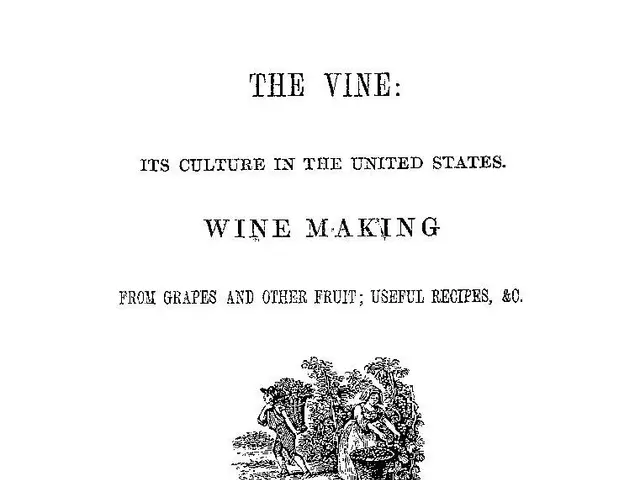 The image shows a paper with text and a picture of grapes and other fruits, illustrating the...