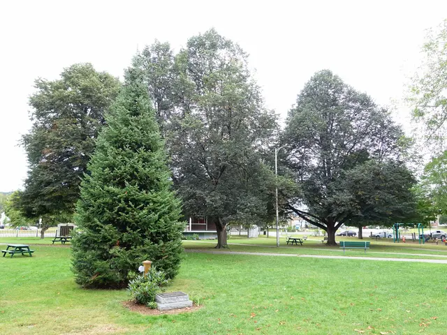 The image shows a park with lush green grass, trees, benches, plants, and shredded leaves scattered...