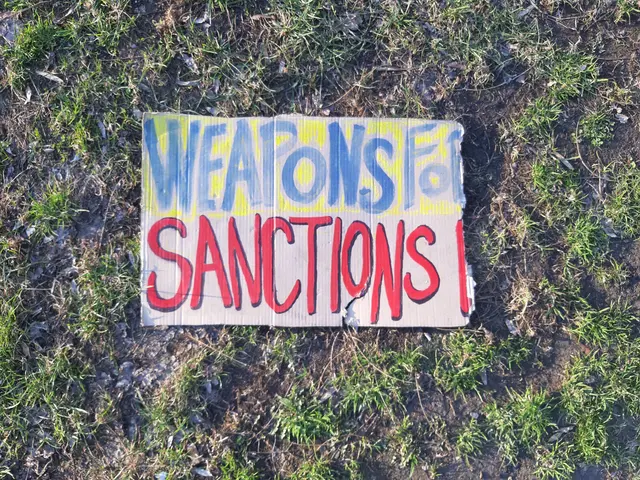 The image shows a sign on the ground that reads "Weapons for Sanctions" in bold black lettering...