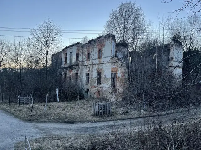 The image shows an old abandoned house in the middle of a dirt road surrounded by trees, plants,...