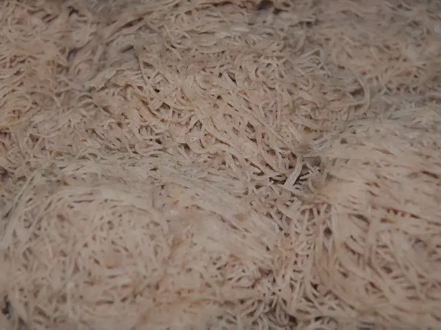 In the foreground of this image, there are noodles.