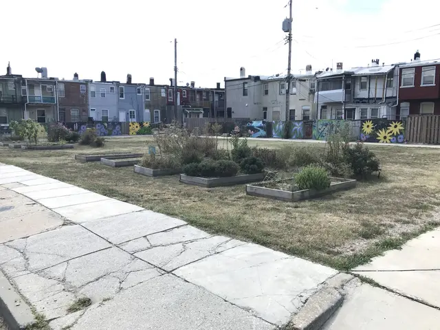 The image shows a row of houses with a sidewalk in front of them, surrounded by plants, grass, and...