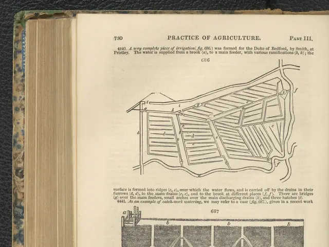 The image shows an open book with a drawing on it placed on a black surface. The book contains text...